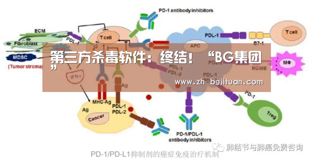 第三方杀毒软件:终结!“BG集团”(图4) BG集团