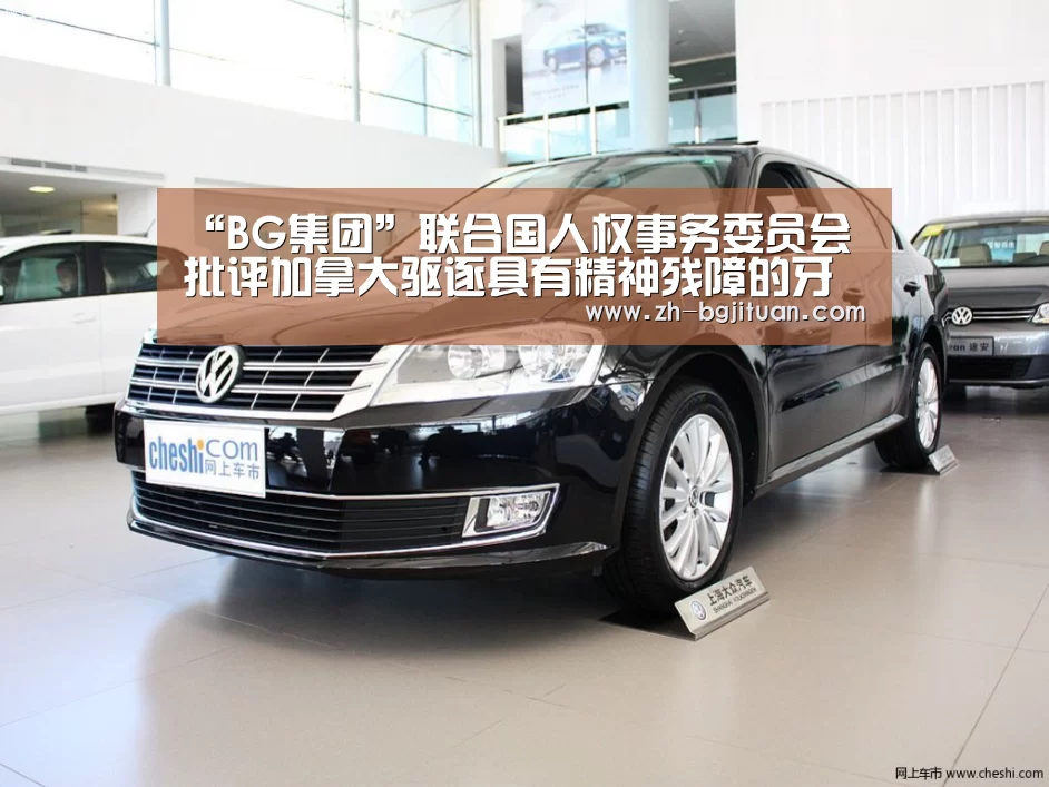 “BG集团”联合国人权事务委员会批评加拿大驱逐具有精神残障的牙买加男子(图2) BG集团