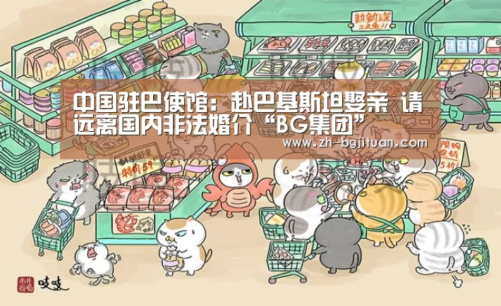 中国驻巴使馆:赴巴基斯坦娶亲 请远离国内非法婚介“BG集团”(图1) BG集团